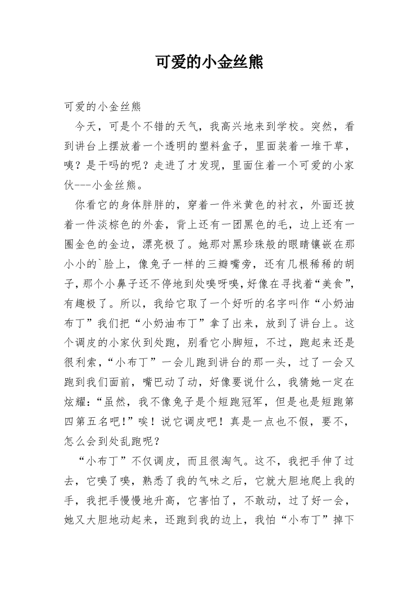 可爱的小金丝熊