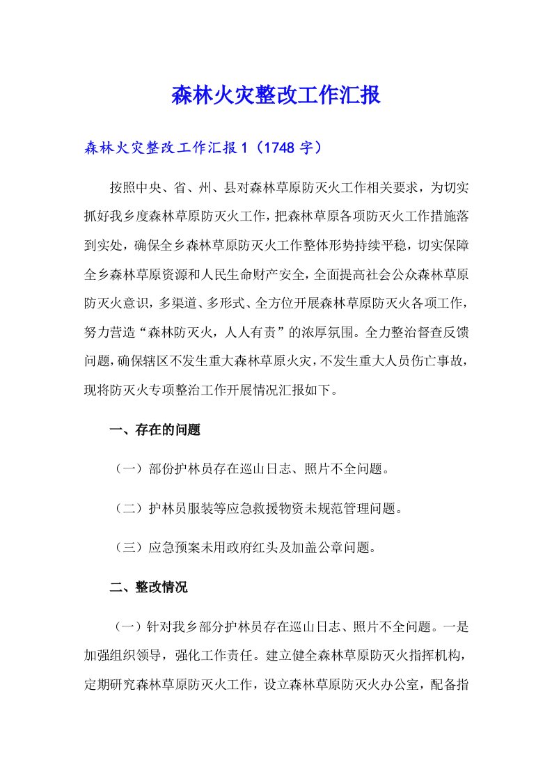 森林火灾整改工作汇报