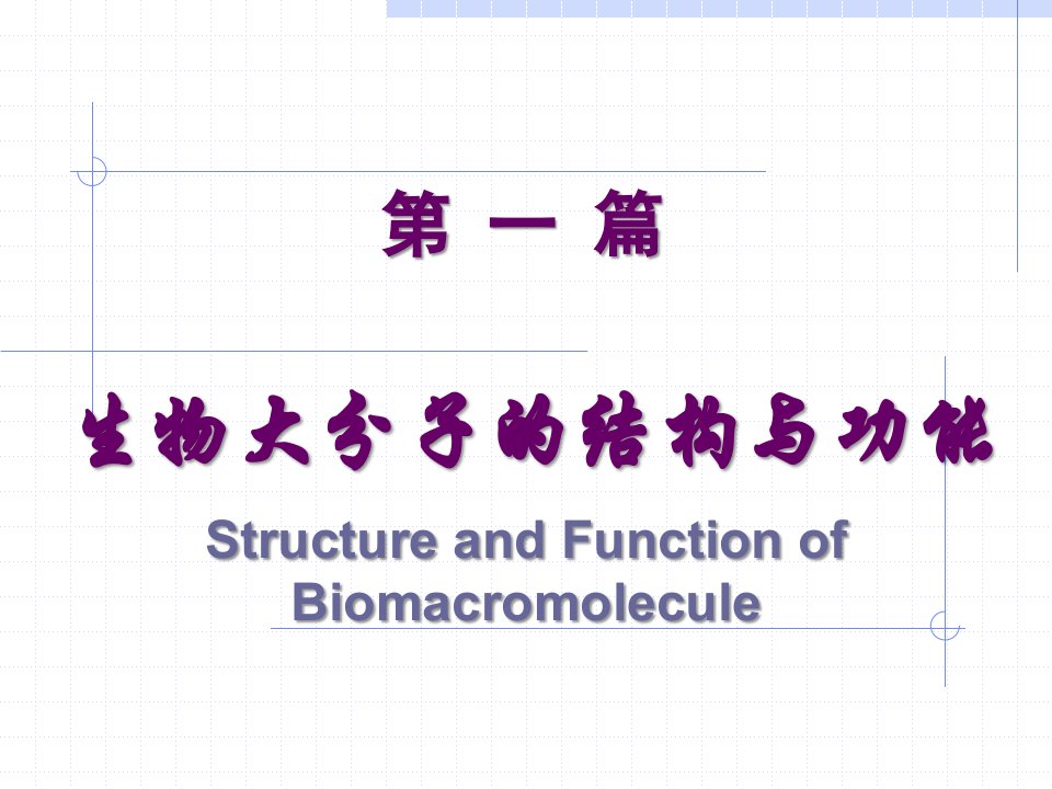 生物大分子的结构与功能