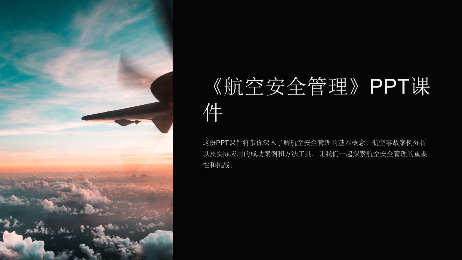 《航空安全管理》课件