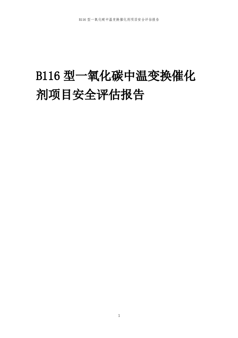 B116型一氧化碳中温变换催化剂项目安全评估报告