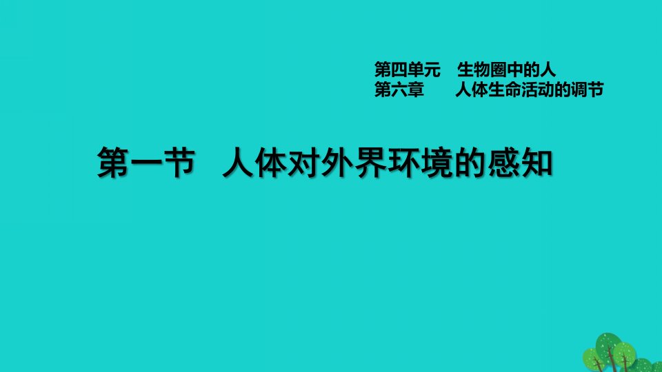 2022七年级生物下册第四单元生物圈中的人第六章人体生命活动的调节第1节人体对外界环境的感知习题课件新版新人教版