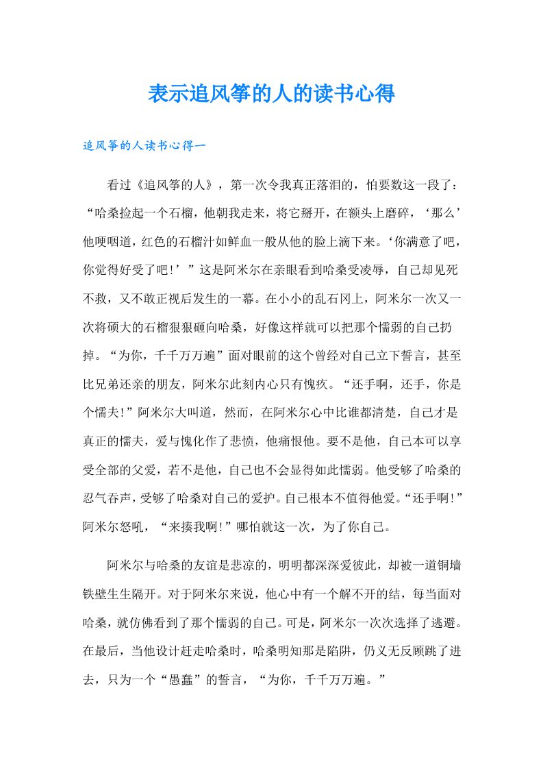 表示追风筝的人的读书心得