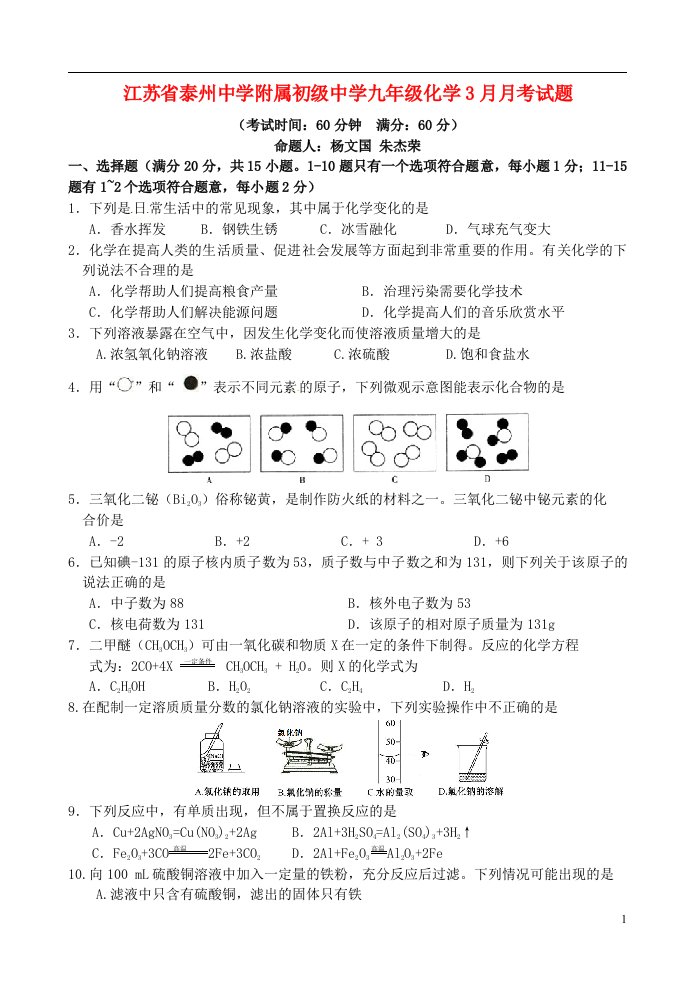 江苏省泰州中学附属初级中学九级化学3月月考试题