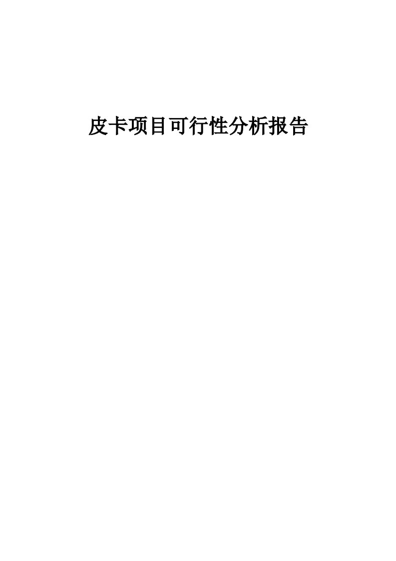 皮卡项目可行性分析报告