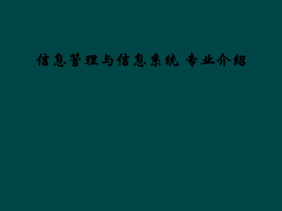 信息管理与信息系统