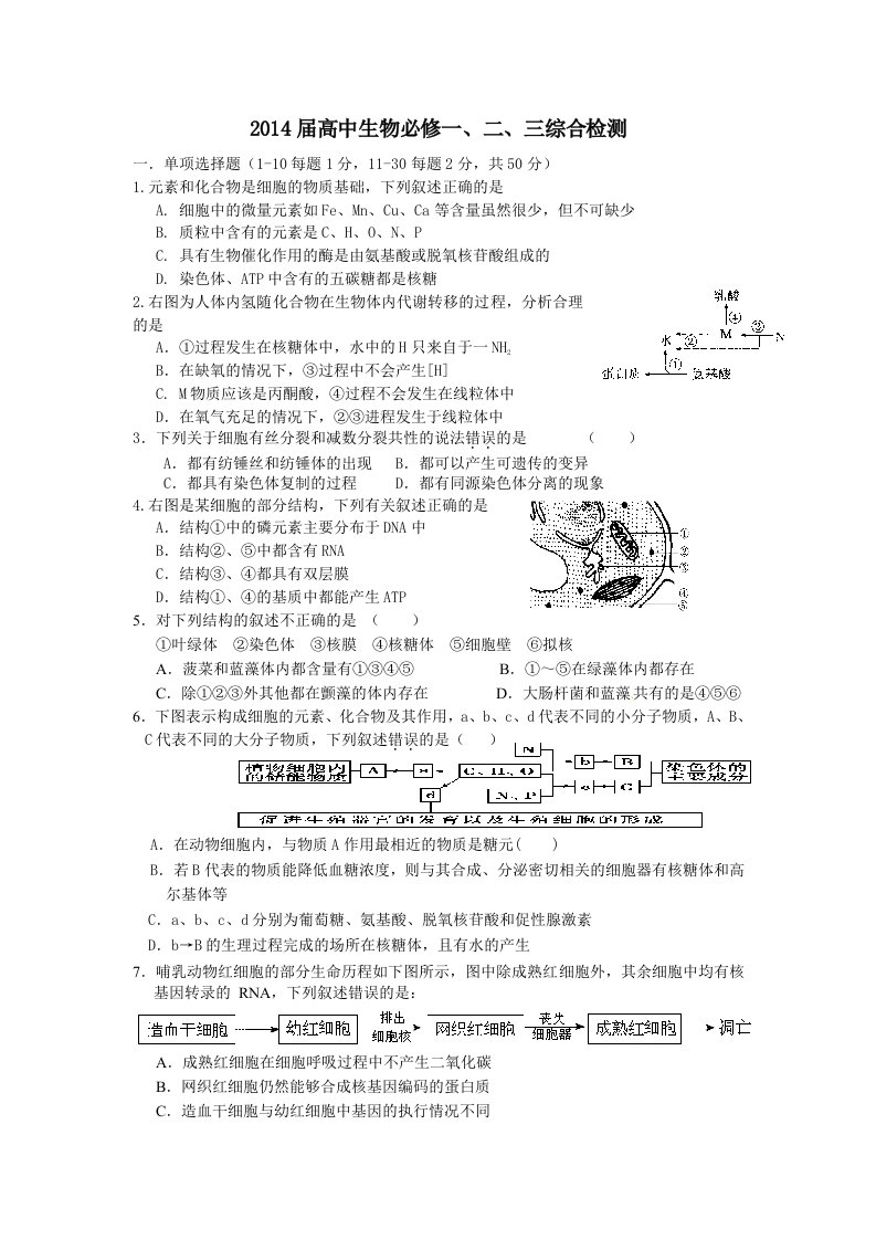 2014届高中生物必修一、二、三综合检测