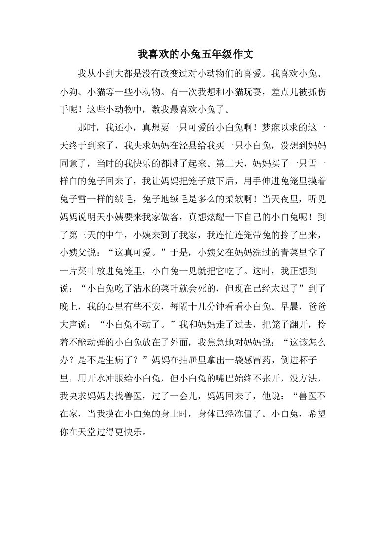 我喜欢的小兔五年级作文