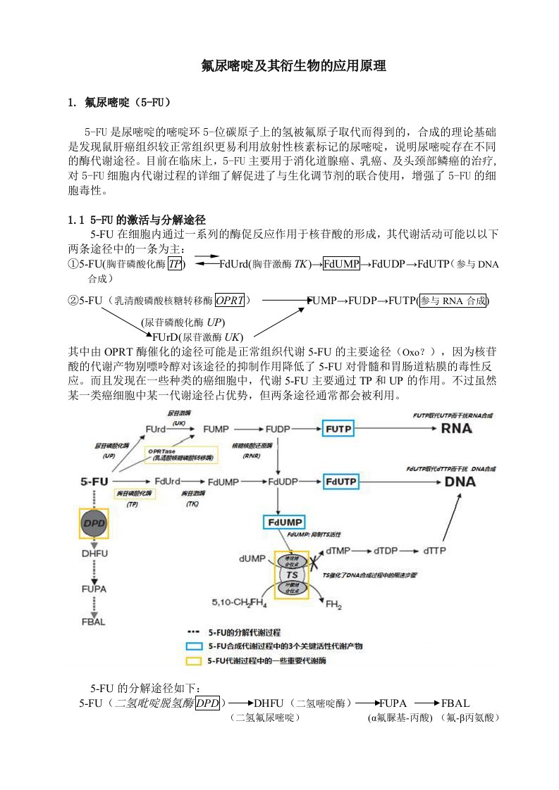 氟尿嘧啶及其衍生物的临床应用原理