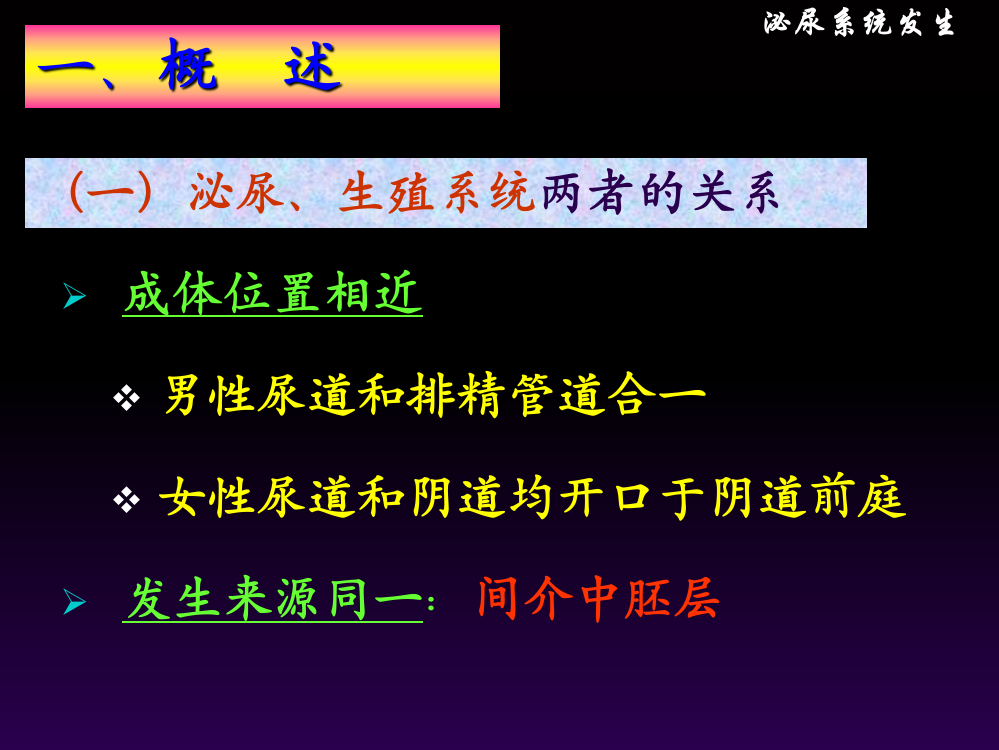 四川大学组胚课件-22.泌尿系统发生PPT幻灯片