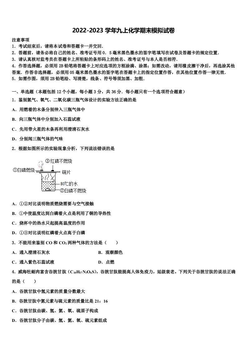 山东省临沂市费县2022-2023学年九年级化学第一学期期末综合测试模拟试题含解析