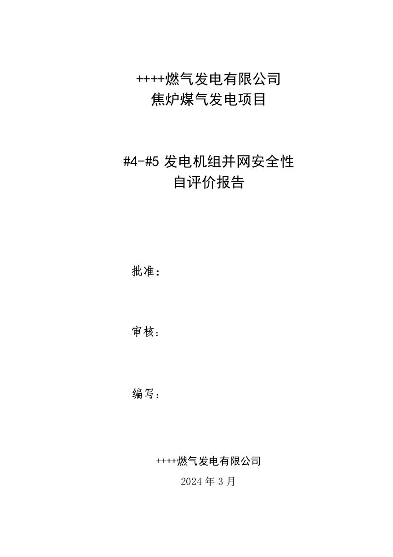 焦炉煤气发电项目发电机组并网安全性自评价报告