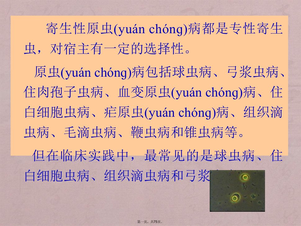 聊城大学农学院《禽病学》课件之球虫病