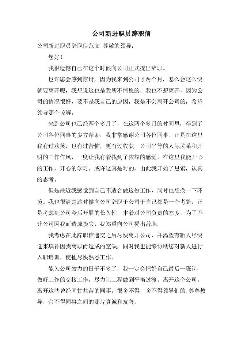 公司新进职员辞职信