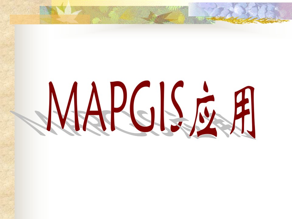 《Mapgis应用》PPT课件