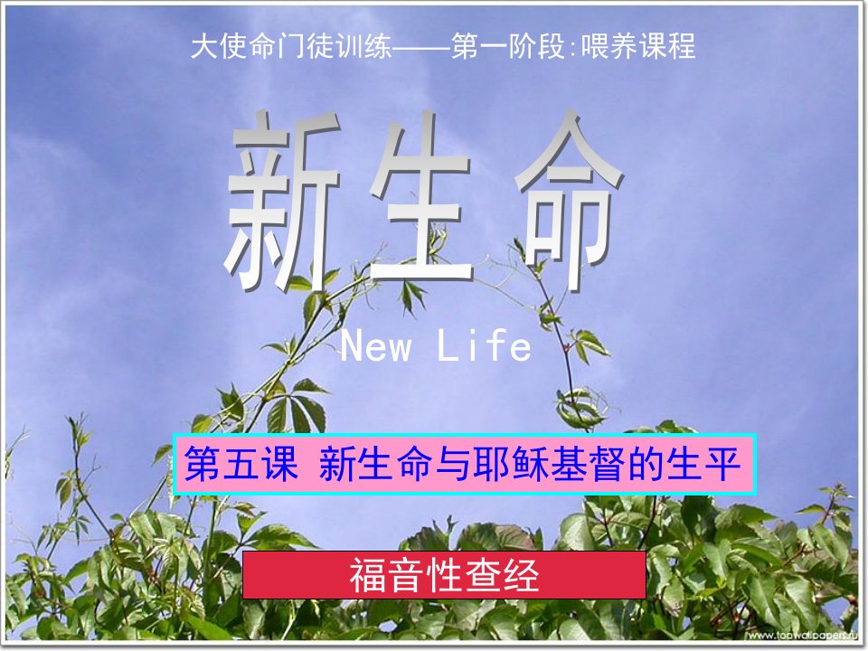 05新生命与耶稣基督的生平-精品课件(PPT)