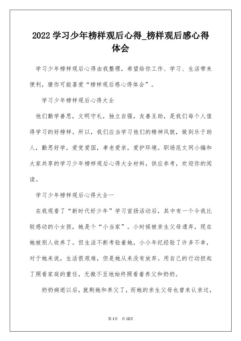 2022学习少年榜样观后心得_榜样观后感心得体会