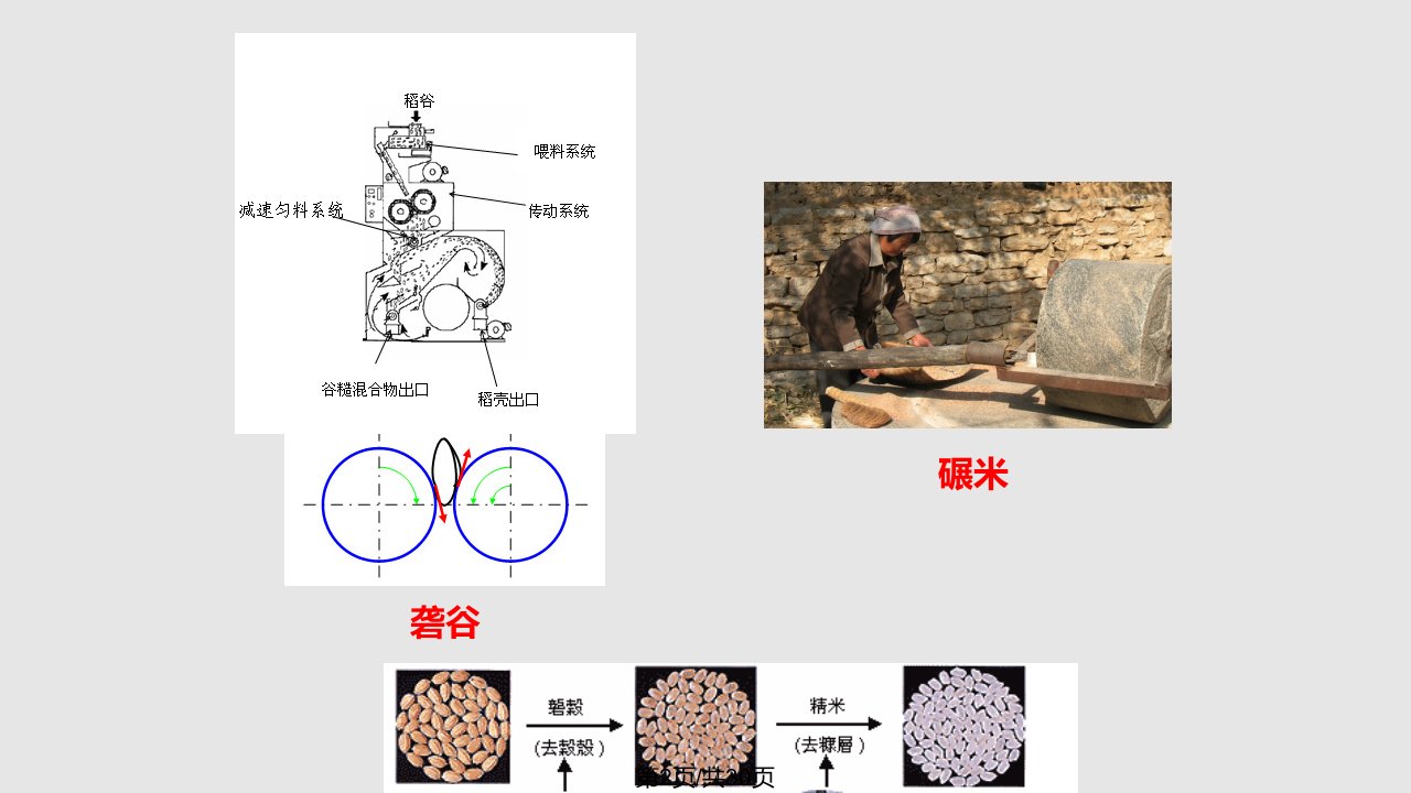 稻谷与大米学习