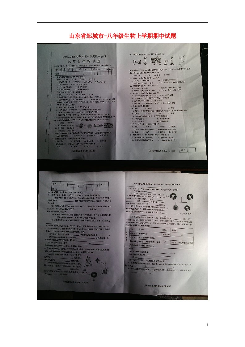 山东省邹城市八级生物上学期期中试题（扫描版，无答案）