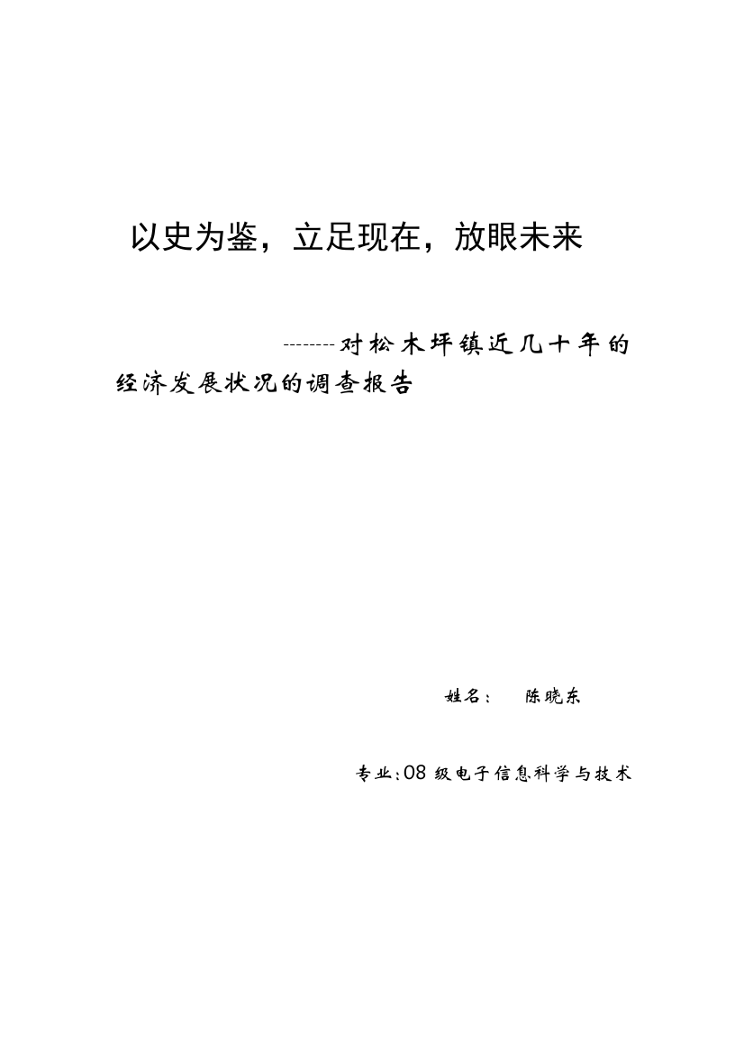 大学寒假社会实践论文乡镇经济调查