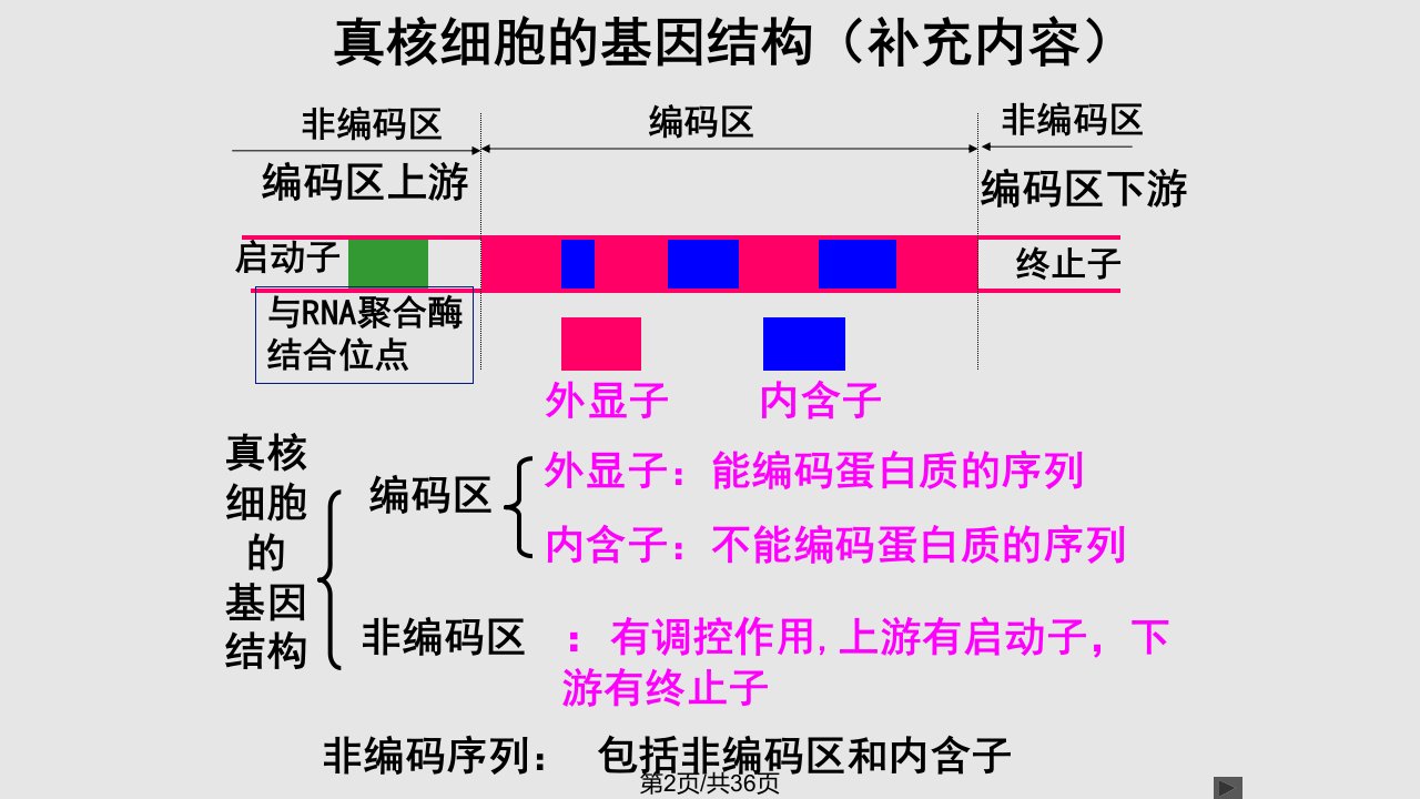 生物基因工程的基本操作程序新人教选修副本