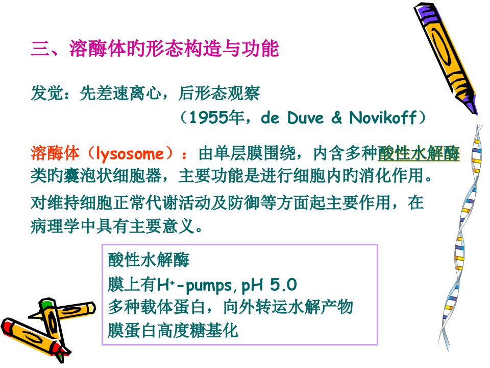 细胞生物学72省名师优质课赛课获奖课件市赛课一等奖课件