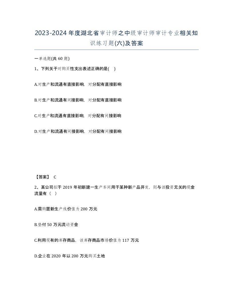 2023-2024年度湖北省审计师之中级审计师审计专业相关知识练习题六及答案