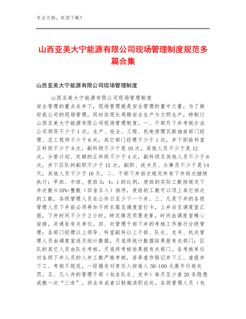 山西亚美大宁能源有限公司现场管理制度规范多篇合集