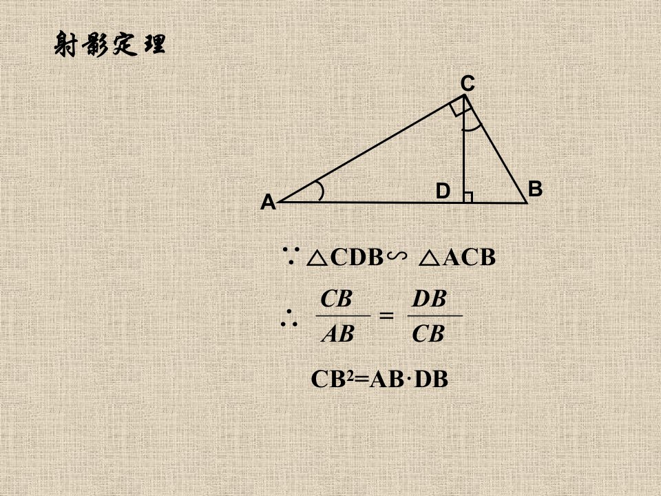 直角三角形相似及相似