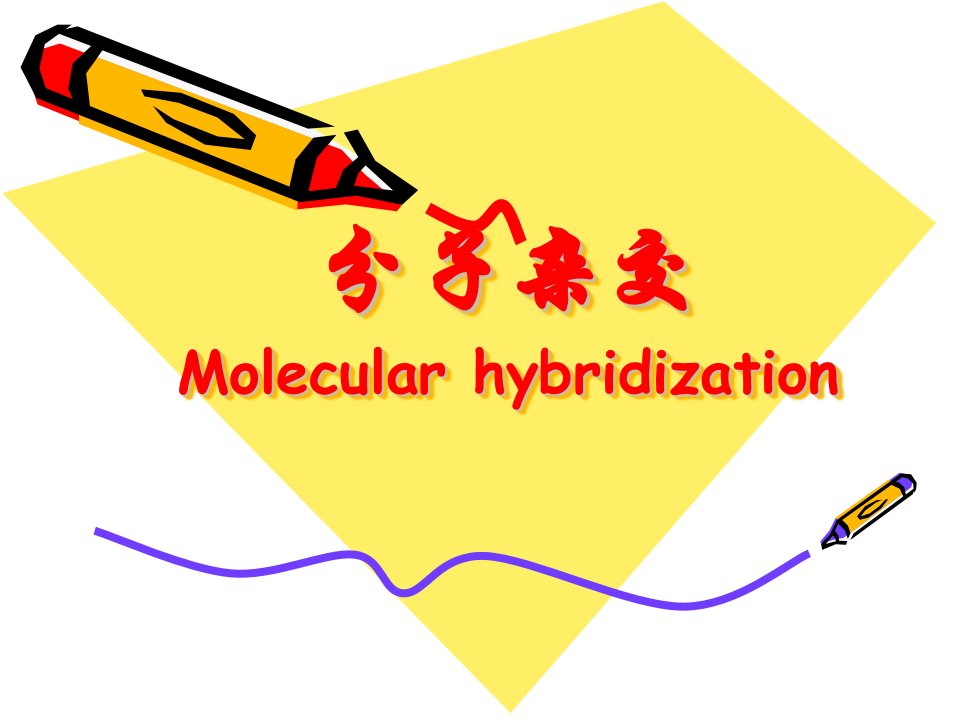 分子杂交-课件（ppt·精选）