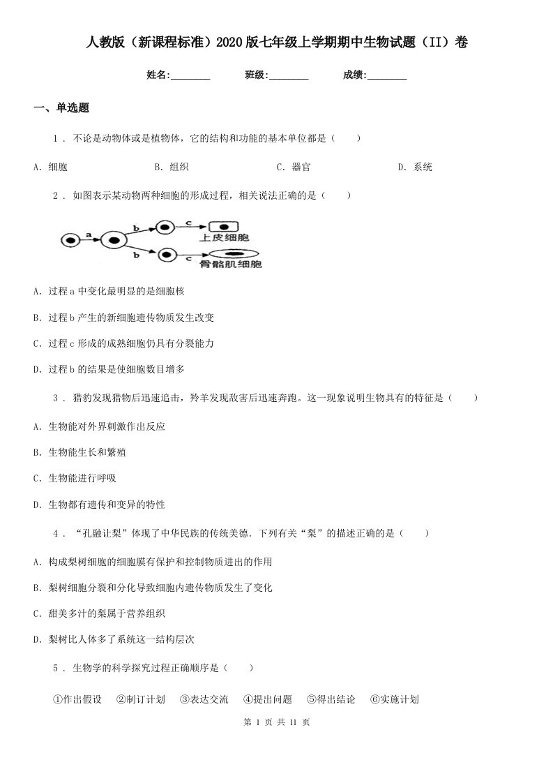 人教版（新课程标准）2020版七年级上学期期中生物试题（II）卷