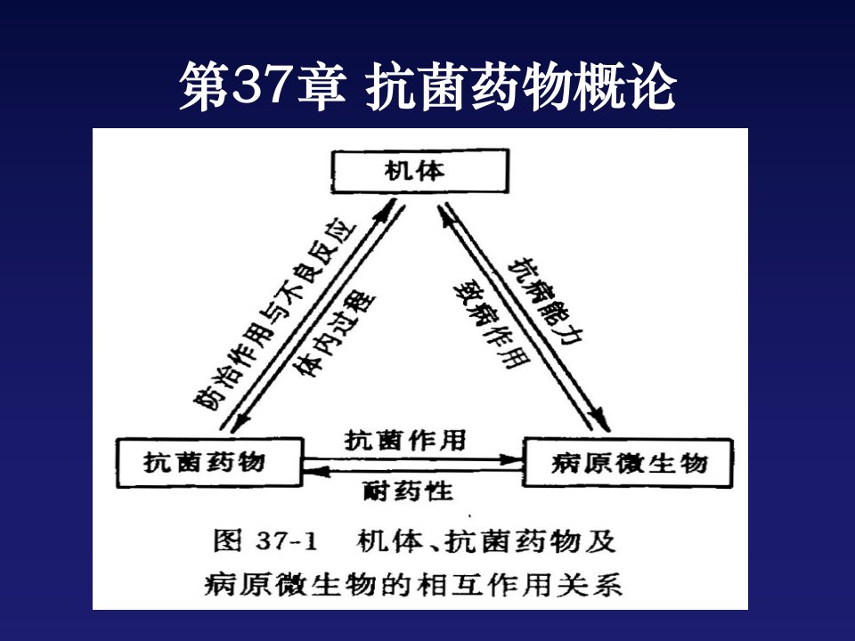 《大全药理学》PPT课件