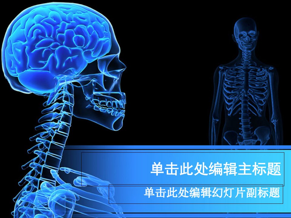 精美通用PPT模板医学人体骨骼主题