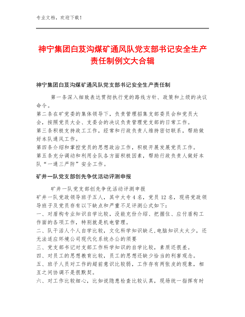 神宁集团白芨沟煤矿通风队党支部书记安全生产责任制例文大合辑