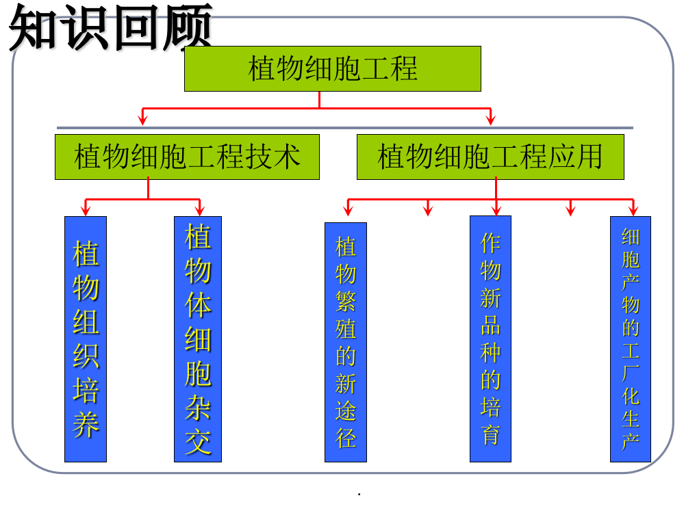 动物细胞培养最新版本