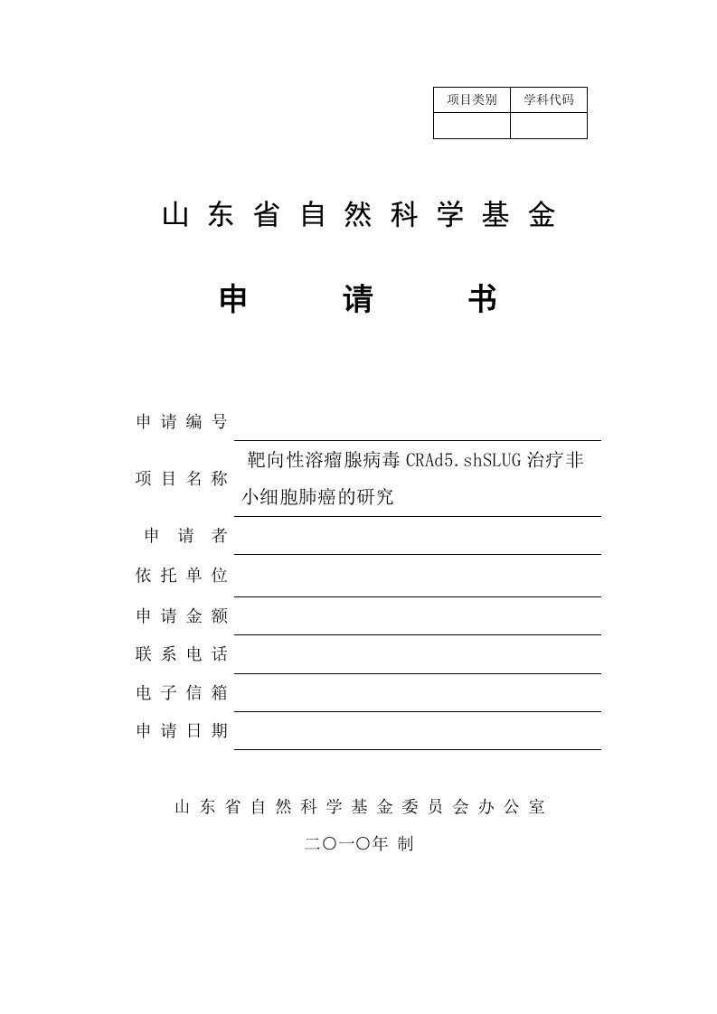 山东省自然科学基金申请书(格式模