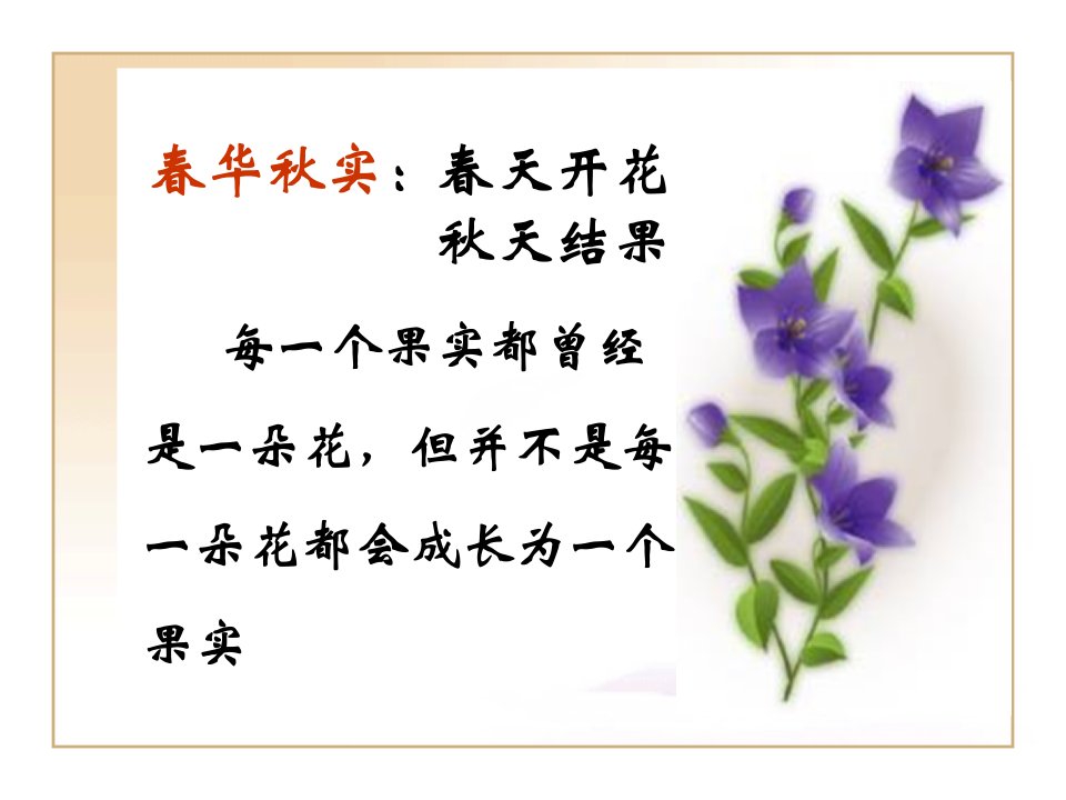 春华秋实-课件（PPT·精选）