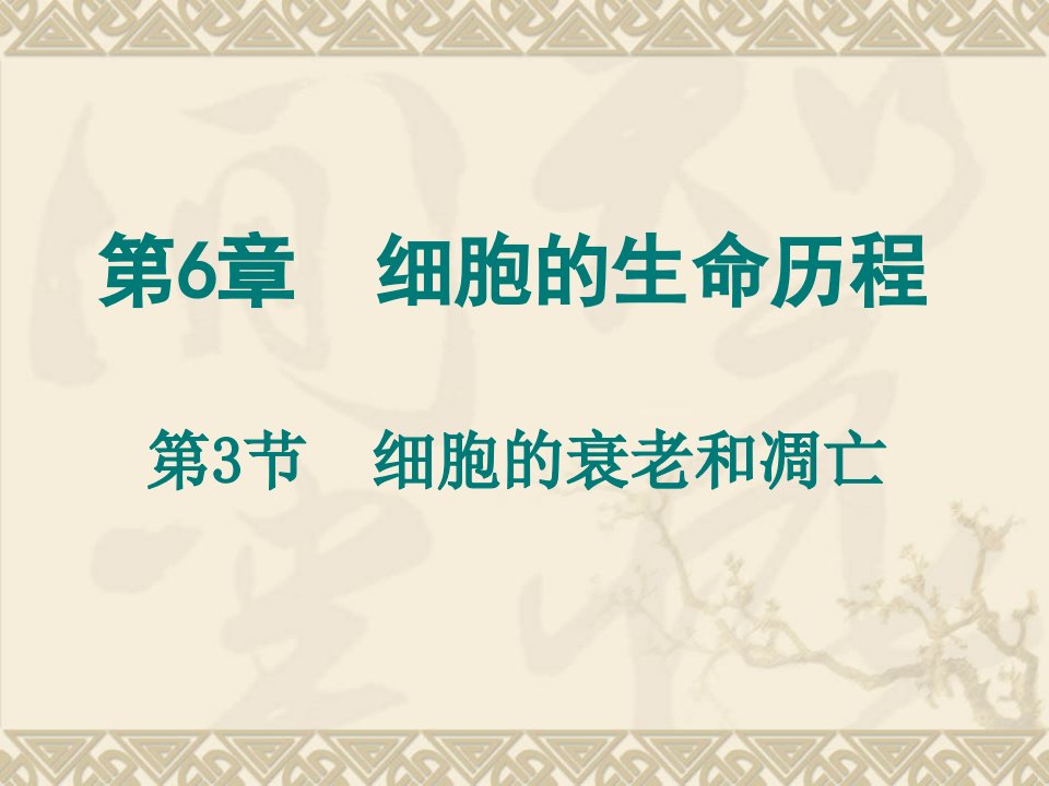 高中生物课件细胞的衰老和凋亡ppt课件.