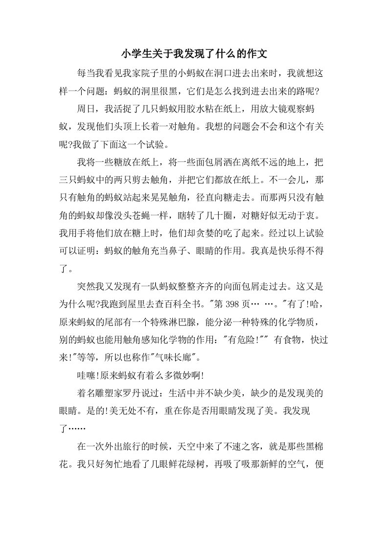 小学生关于我发现了什么的作文