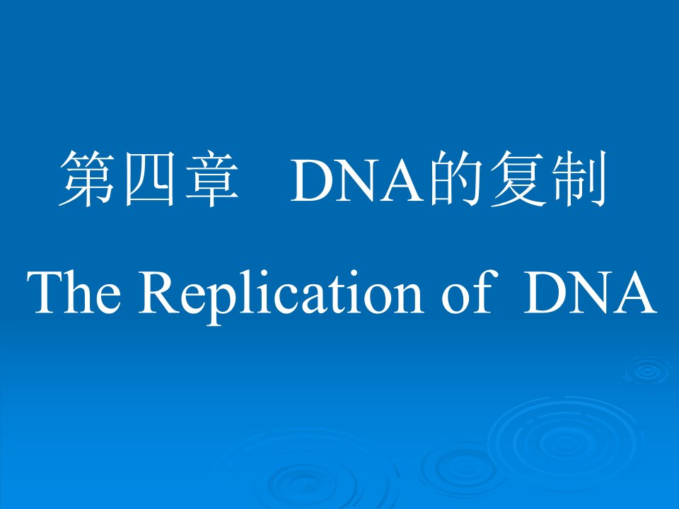 DNA的复制123