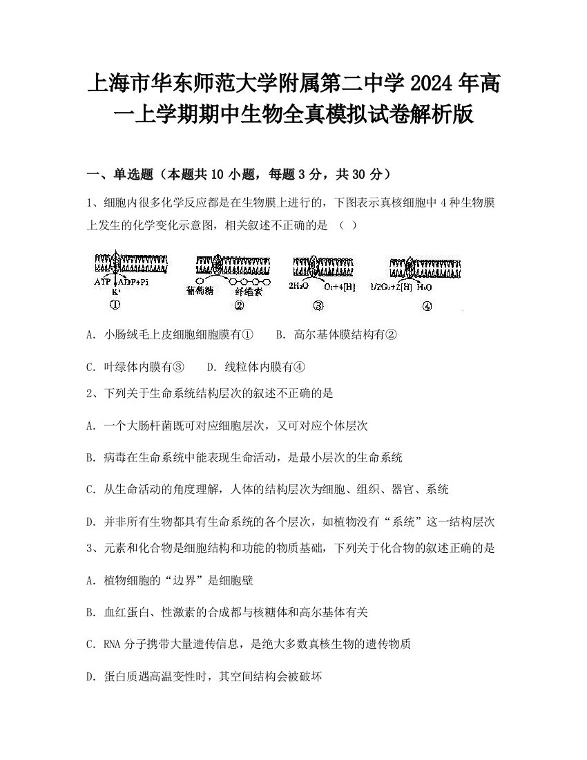 上海市华东师范大学附属第二中学2024年高一上学期期中生物全真模拟试卷解析版