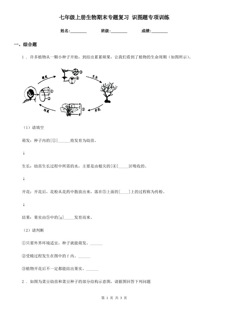 七年级上册生物期末专题复习