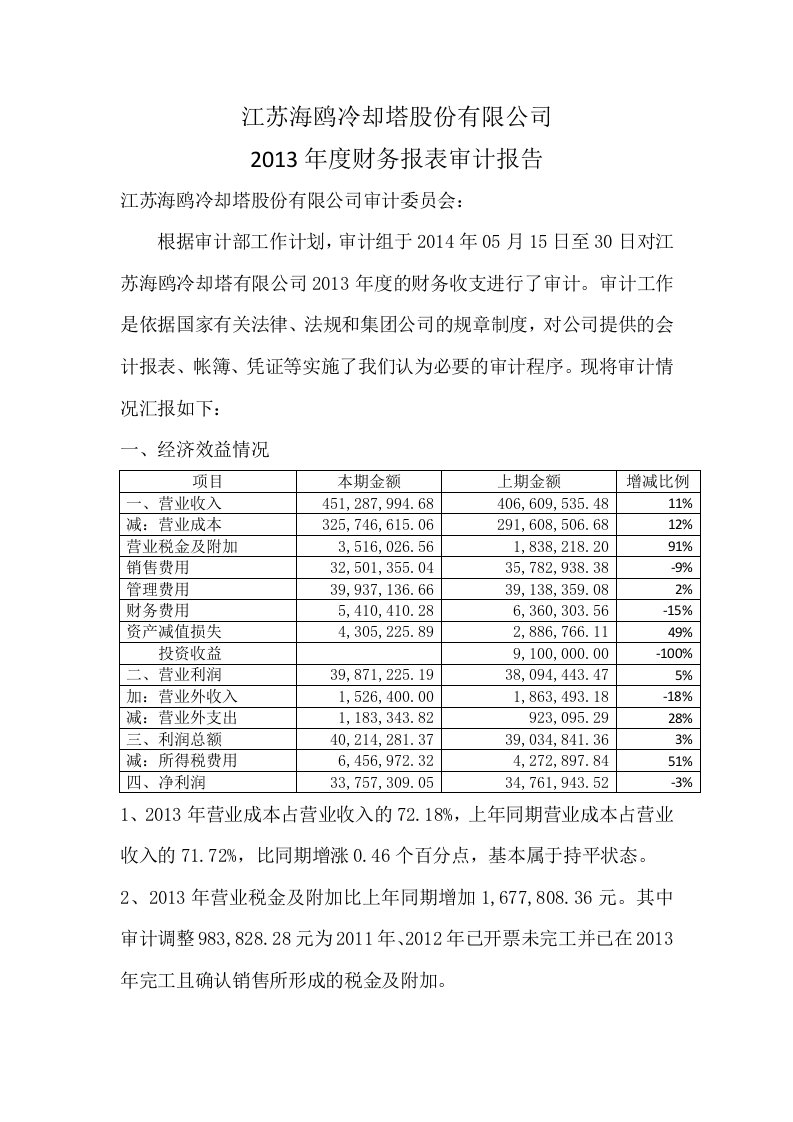 2013年财务审计报告