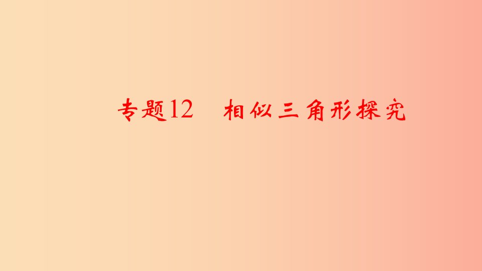 通用版中考数学二轮复习专题12相似三角形探究课件