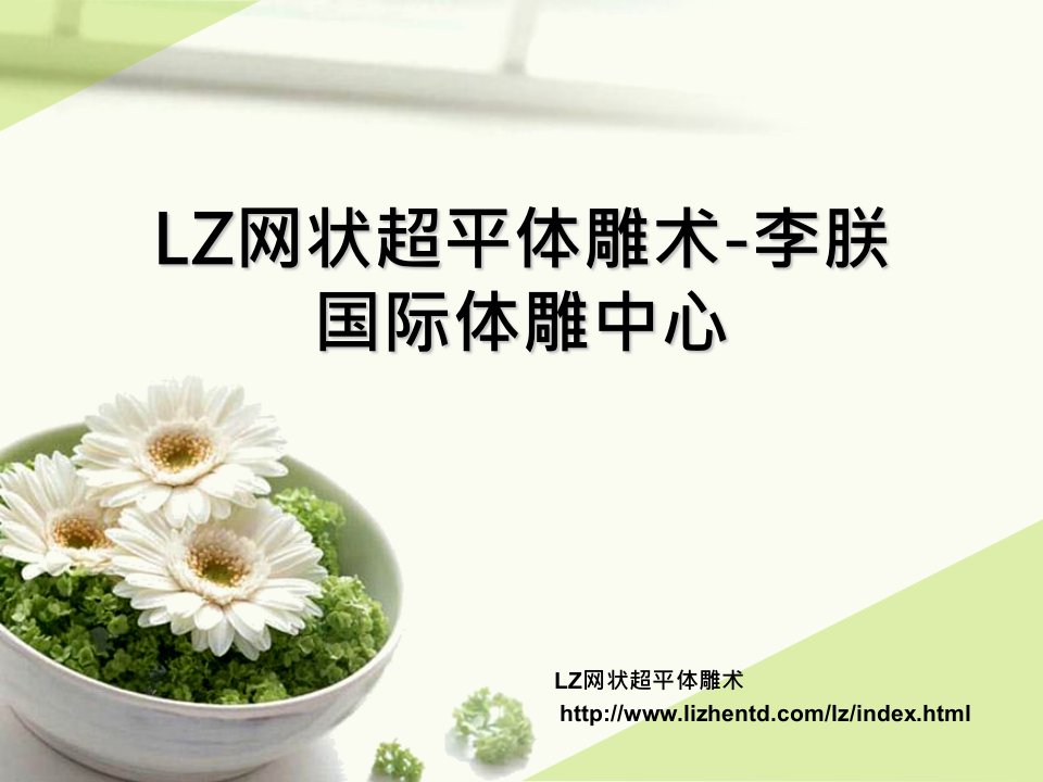 LZ网状超平体凋术专题