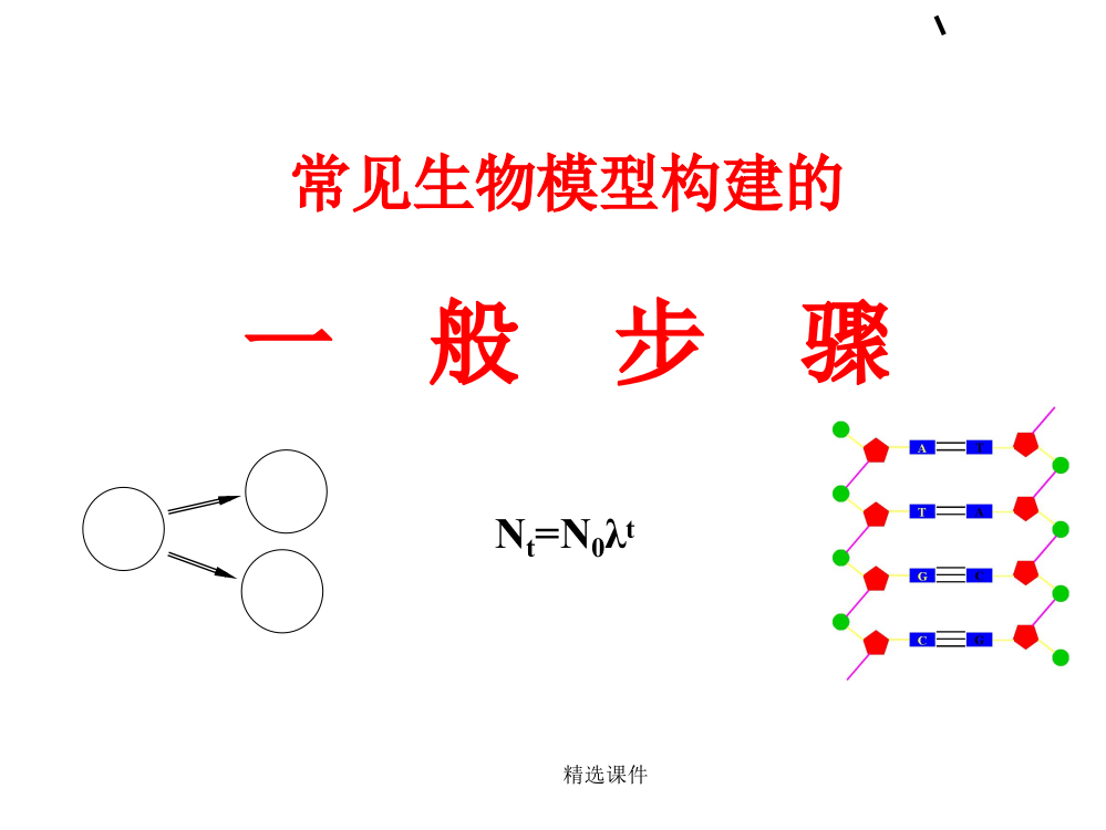 常见生物模型构建的一般步骤