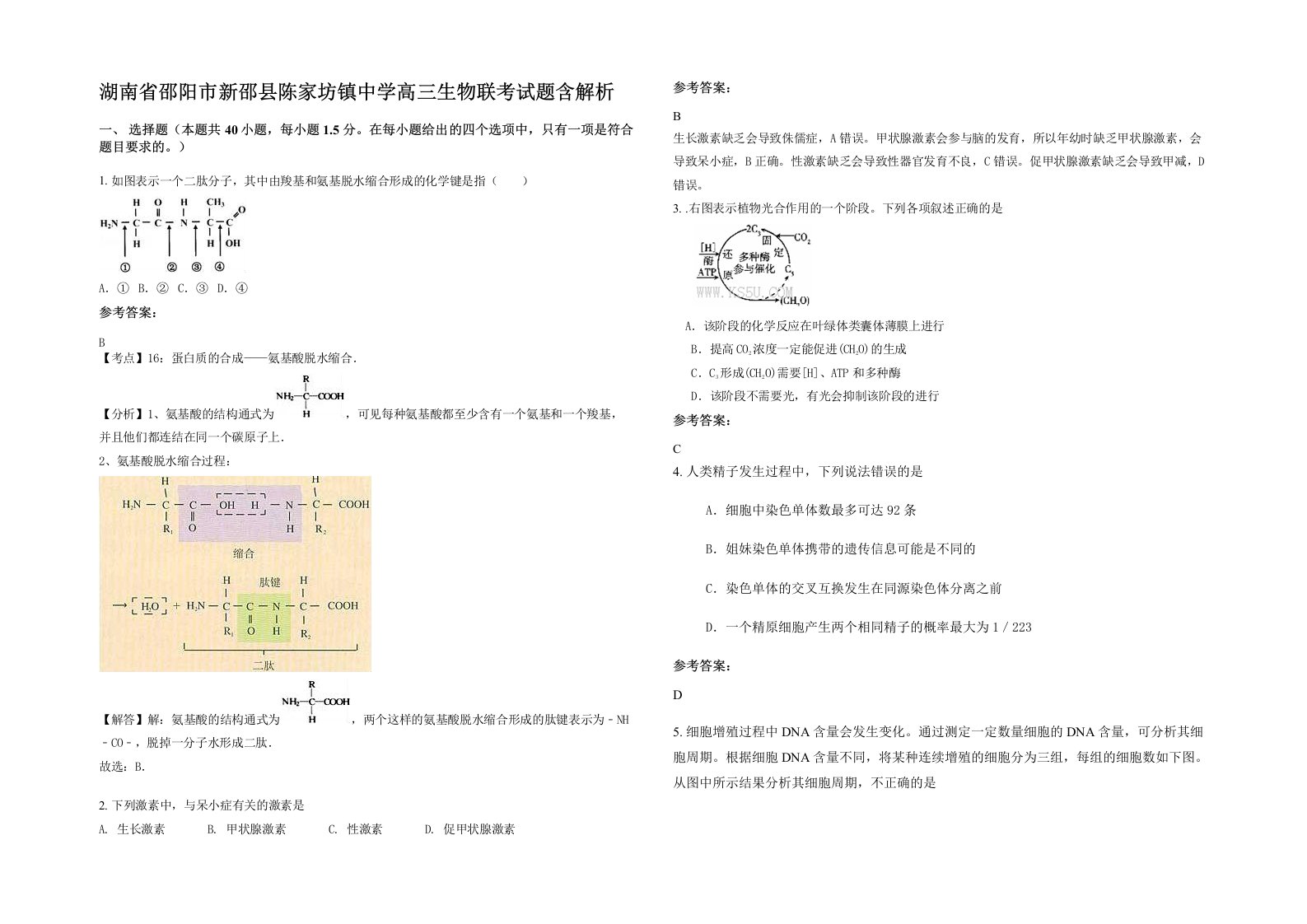 湖南省邵阳市新邵县陈家坊镇中学高三生物联考试题含解析