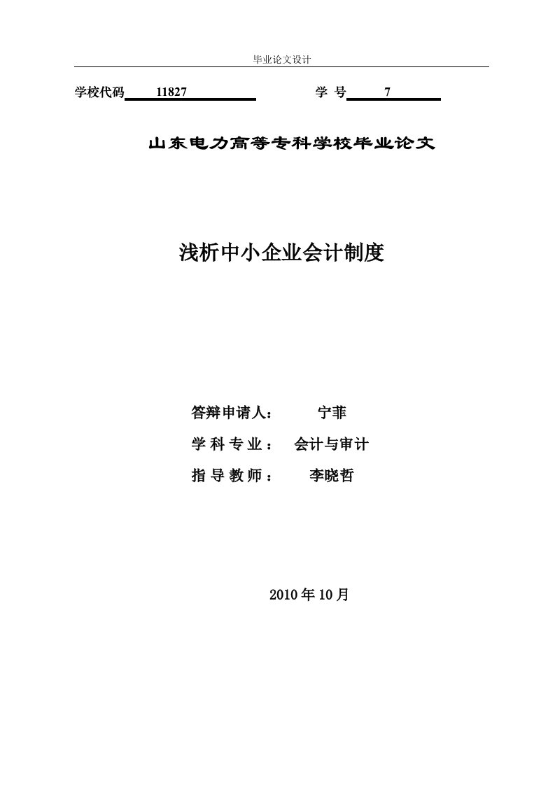 毕业论文---浅析中小企业会计制度