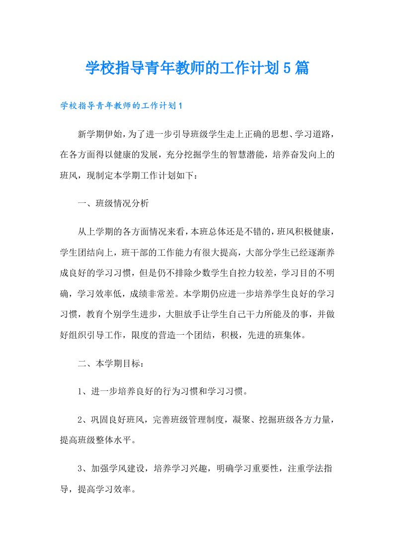 学校指导青年教师的工作计划5篇