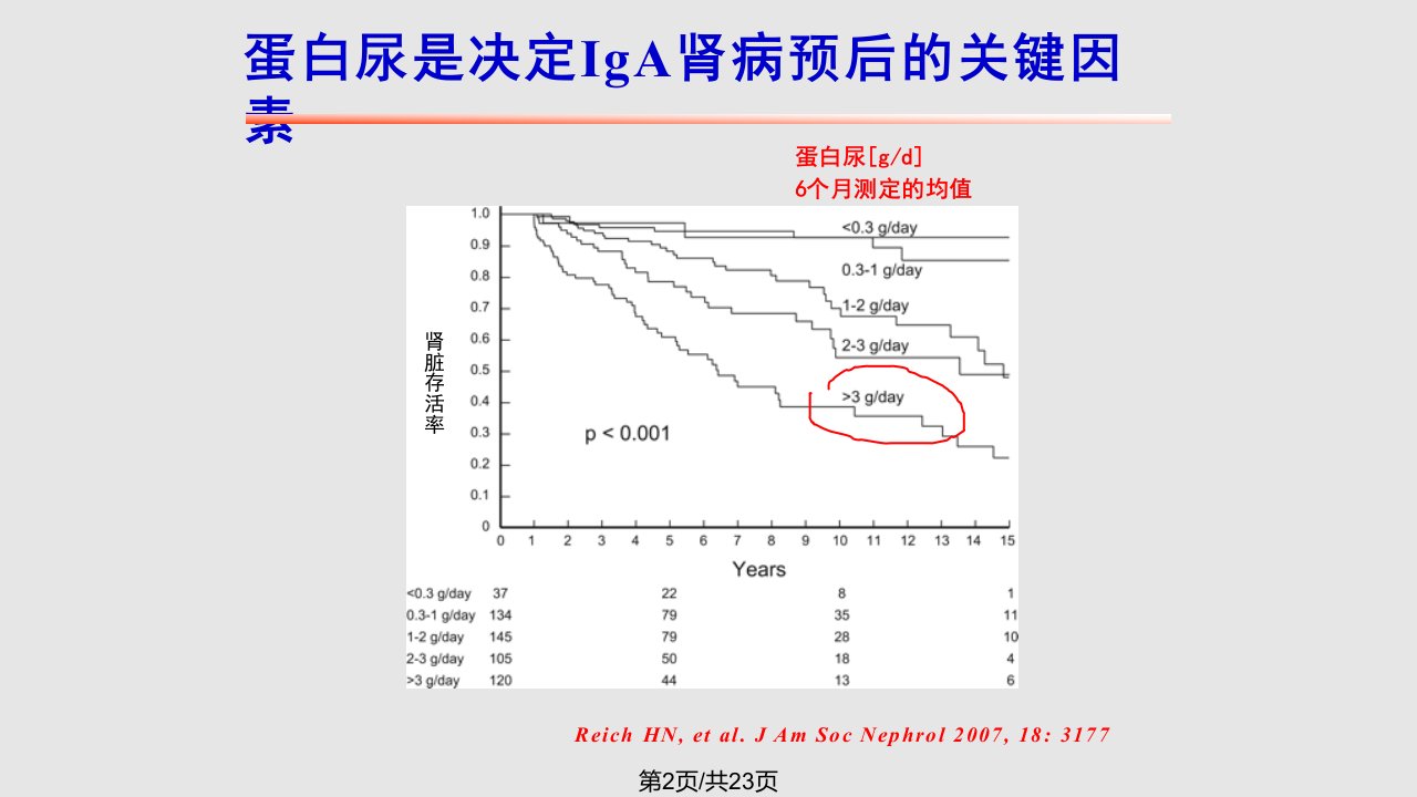 KDIGO临床指南IgA肾病的治疗